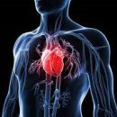 고트복싱(G.O.A.T Boxing) 이미지