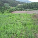 TP공인중개사사무소 이미지