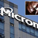 마이크론, 중국 서버칩 사업 금지 후 철수 이미지