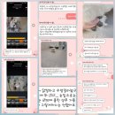 이마트에브리데이 일광삼성점 | 일광애견미용 스트레스없는 반려견미용 몽개GROOM