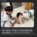 용인대마루태권도장 이미지