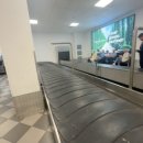 재미난박물관 | 이탈리아에서 만난 사람들 (1) 🇮🇹