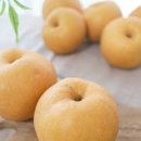 안전지대 휘트니스 이미지