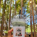 멍레스트 | 강화대형카페 아기랑 메타포레스트 숲카페 주말후기