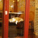 전포2동-14 이미지