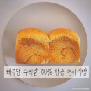 농축원 | 태극당 농축원 탕종 현미 식빵 후기 – 깜빠뉴&amp;건강빵 추천