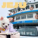 제주특별자치도 장애인요트연맹 | 제주 우도 배시간 성산항 왕복 승선권 예약 애견동반 탑승 후기