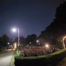 장자호수공원 장미터널 이미지