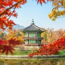 선암진미식당 | 영월과 제천 2박 3일 여행 일정