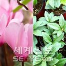 하일농장 이미지