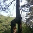 사기막리마을 이미지