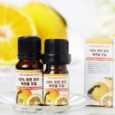 히포힐스 이미지