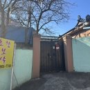 초향 | 따뜻하고 편안한 초향보살 신당 방문 후기