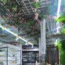 숯집 양꼬치 | 인천 용현동 숭의동 내돈내산 숯집양꼬치