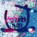 쌍화차거리 이미지