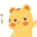 수성하와이 이미지