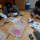 보성여자중학교 이미지