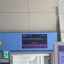 A350 | 아시아나 이코노미 스마티움 탑승 후기 | A350기종 일반이코노미석 비교 14K열