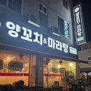강릉양꼬치 | [강릉 맛집] 양꼬치&마라탕 강릉본점: 잡내 없는 양꼬치와 얼얼한 마라탕 내돈내산 후기