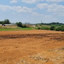 일화농장 이미지