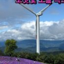 별,바람,꽃길 이미지