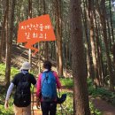 치악산둘레길 2코스 구룡길 | [ 치악산둘레길 ] 계곡 숲길! 명품 숲길! &#39;치악산둘레길 2코스 구룡길&#39; 걷기