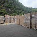 SA모터스 이미지