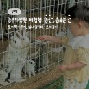 윤호농장 | [공지] 구미 농부의정원 아기랑 가볼만한 곳 체험형농장 비오는날