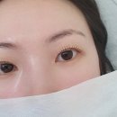 고유하리 | 미사속눈썸펌 연장 고유하리, 케라틴속눈썹펌 후기+주차편리해요