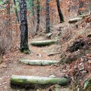 팔공산녹색길 숲길 2코스 이미지