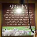 양고기푸줏간 이미지