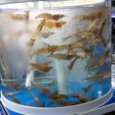 경기도 수원시 권선구 세권로 243 이미지