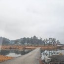 화탄매운탕 | 전북 순창 메기탕 맛의 정점 "화탄매운탕" 솔직 후기