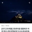 야경투어 이미지