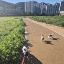 광려천 힐링산책로 이미지