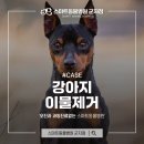 스마트동물병원 군자점 이미지