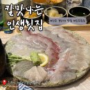 칼맛 | 진주 가좌동 맛집, “칼맛나는 인생횟집” 경상대 신상 숙성회 맛집
