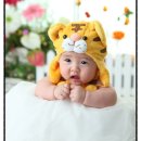 봉곡동294 이미지