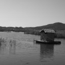 흥왕낚시터 이미지