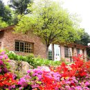 수동면 수산1리 이미지