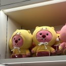 수정애마을 이미지