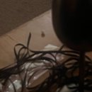 시재시재 이미지