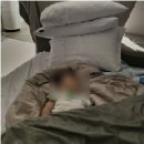 포뷰펜션 티스토리
