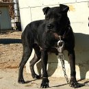 강일 농장 이미지