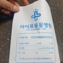 신풍동물종합병원 | [신길뉴타운] 신풍역 라이프동물병원 방문 후기