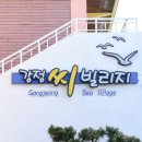 강정씨빌리지 이미지