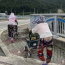 호호할매