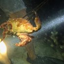 New행복한여행