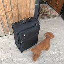 휘게리하우스 이미지