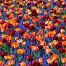 오천파크골프존 이미지